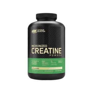 Optimum Nutrition Micronized Creatine Powder