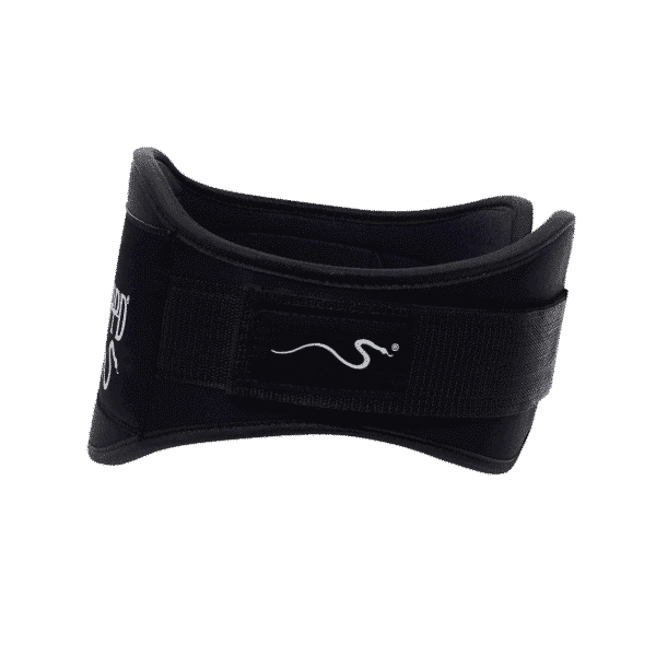 Rappd 6Inch Neoprene Belt 3 1 | Bodytech Supplements