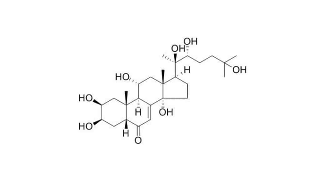 Turkesterone molecule